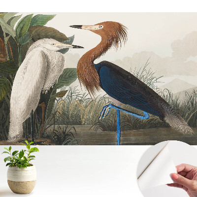 Fototapeta do salonu Eleganckie ptaki w roślinności