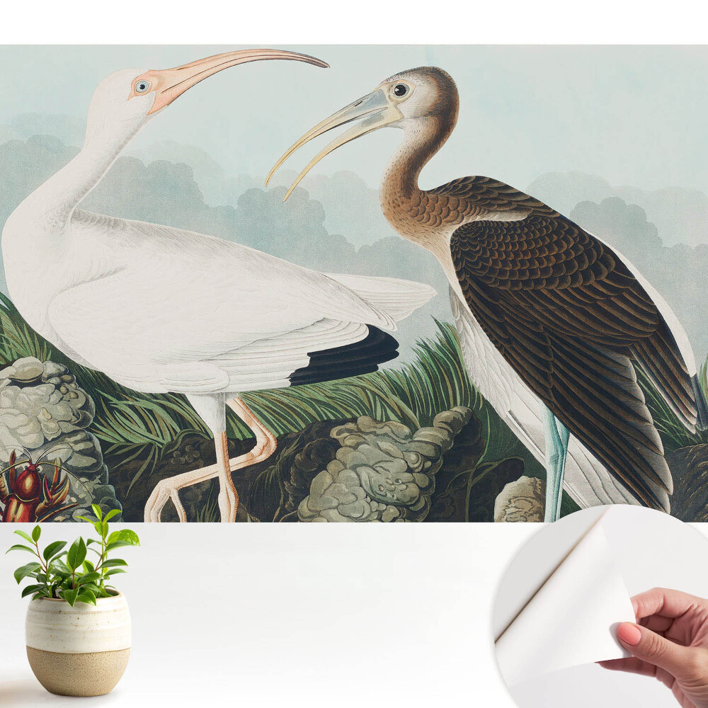 Tapeta fotograficzna samoprzylepna Dwa ptaki w naturalnym otoczeniu