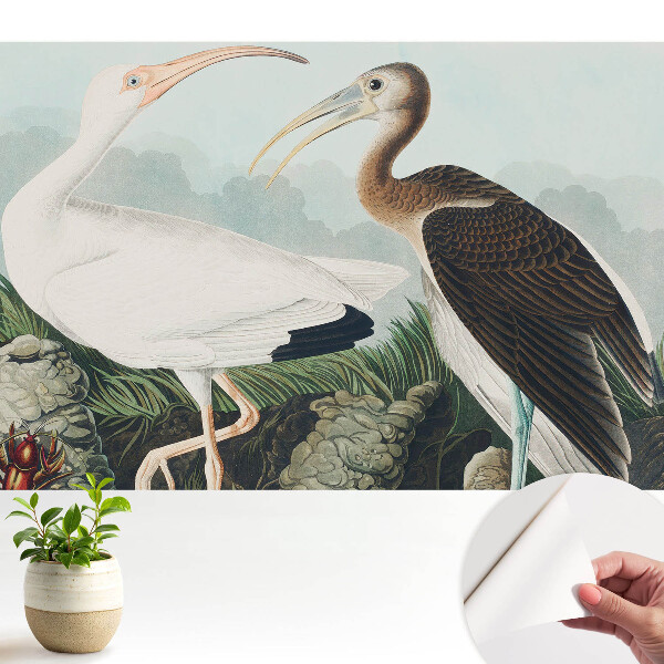 Tapeta fotograficzna samoprzylepna Dwa ptaki w naturalnym otoczeniu