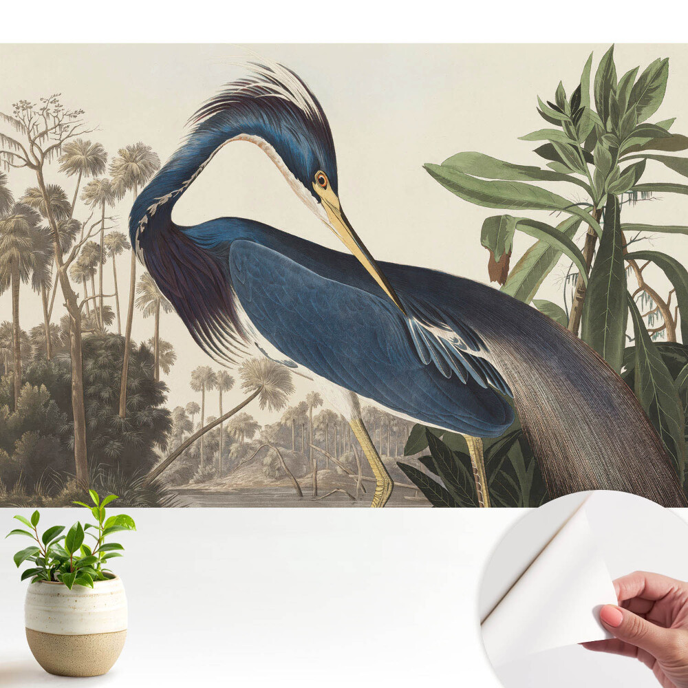 Fototapeta samoprzylepna do salonu Egzotyczny ptak na tle roślinności