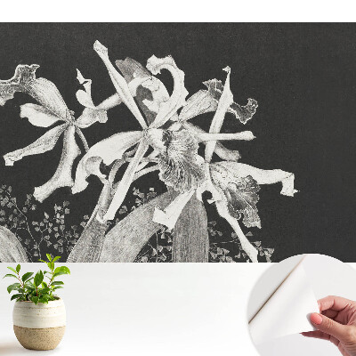 Tapeta fotograficzna samoprzylepna Eleganckie kwiaty na ciemnym tle