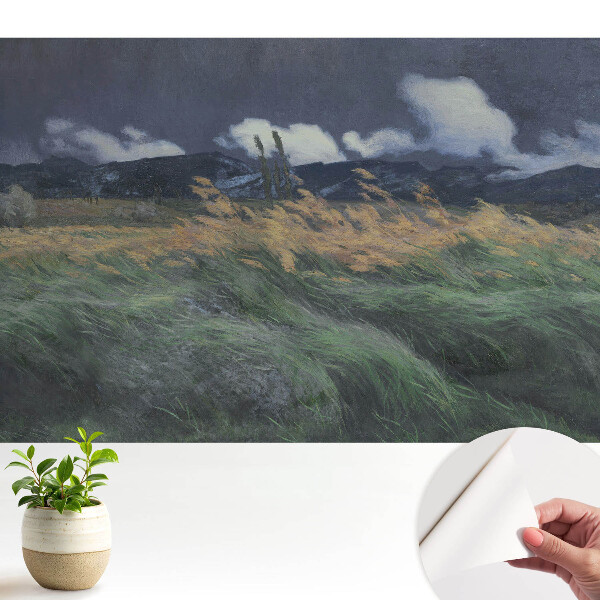 Tapeta fotograficzna samoprzylepna Pejzaż z chmurami i wiatrem