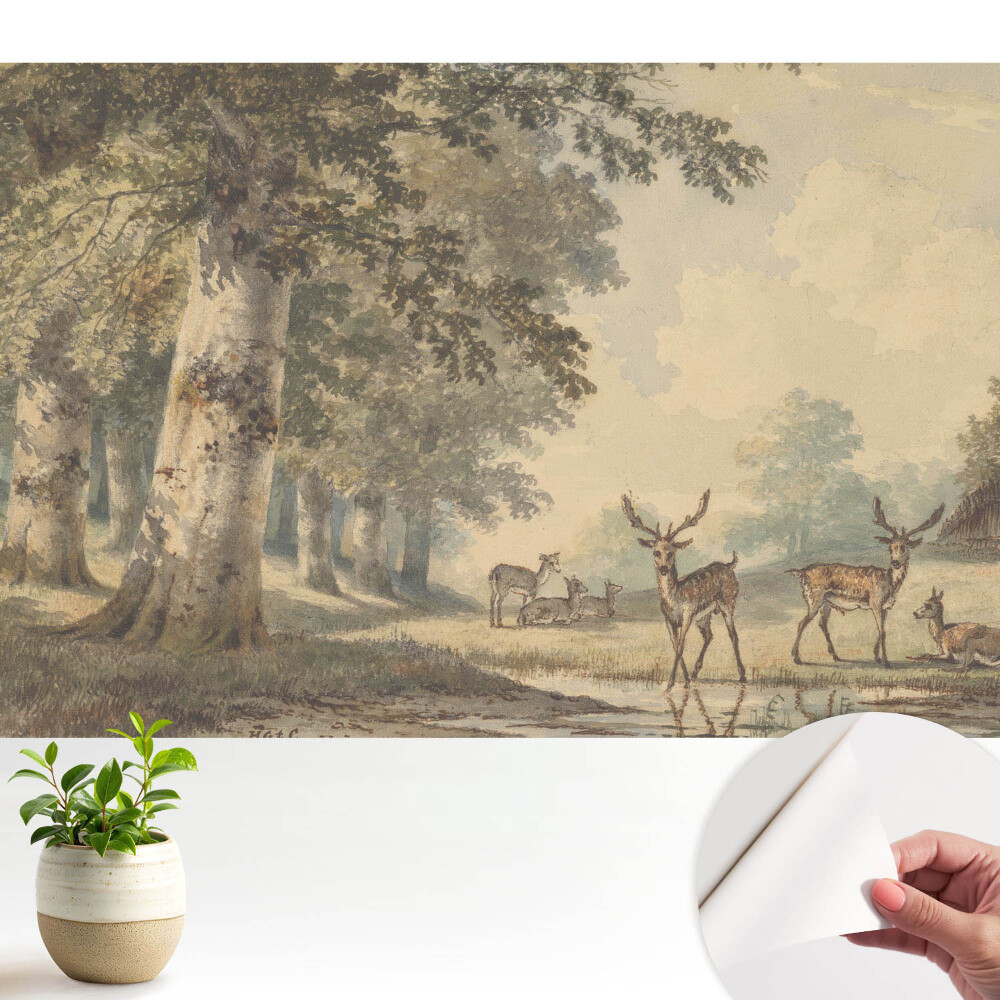 Fototapeta samoprzylepna do salonu Leśne jelenie przy strumieniu