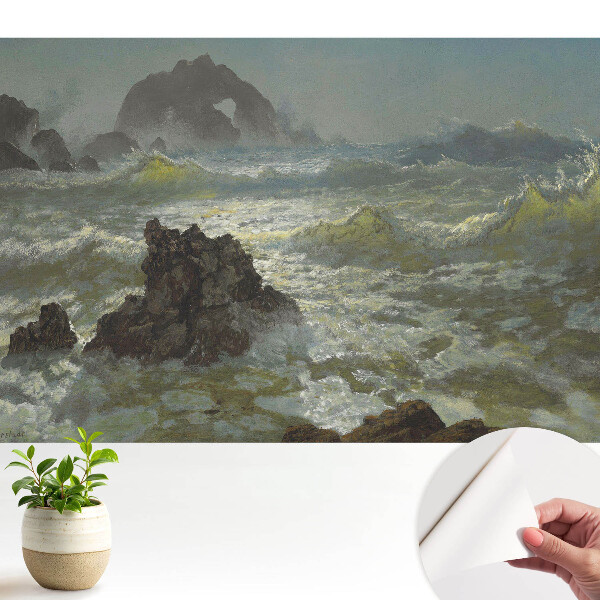 Fototapeta z nadrukiem samoprzylepna Morskie fale i skały