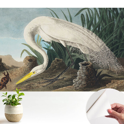 Tapeta fotograficzna samoprzylepna Czapla wśród traw