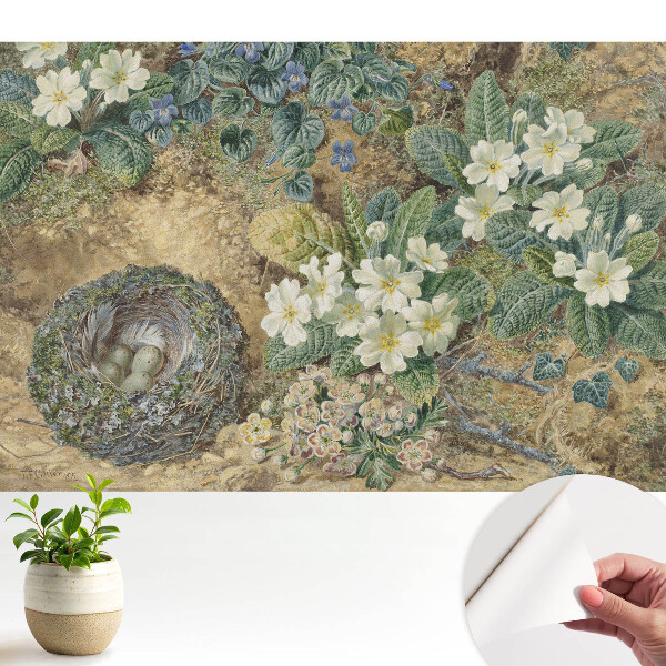 Tapeta fotograficzna samoprzylepna Kwiaty prymulki z ptasim gniazdem