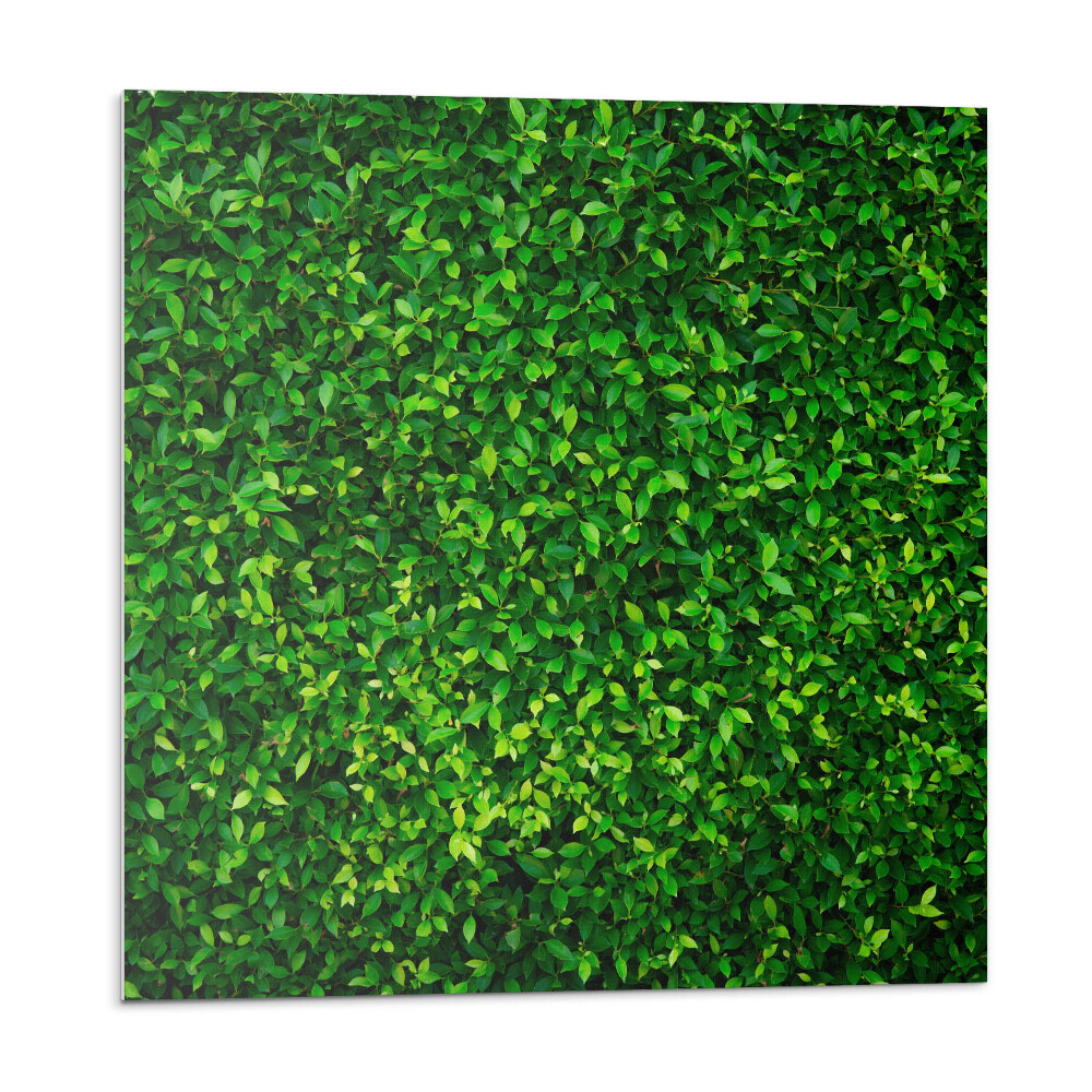 Samoprzylepne płytki Gęsta ściana liści