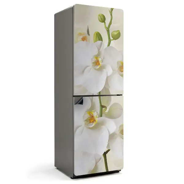 Mata magnetyczna na lodówkę Kwiatowe akcenty orchidei