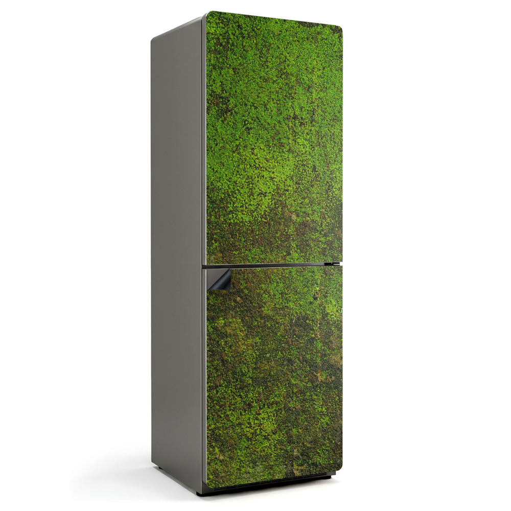 Mata magnetyczna na lodówkę Naturalny mech w detalach