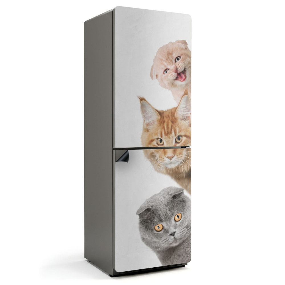 Mata magnetyczna na lodówkę Koty w radosnej kolejce