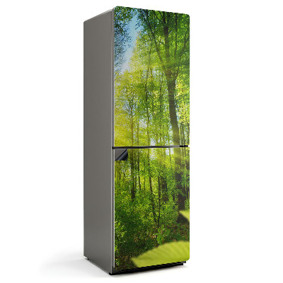 Mata magnetyczna na lodówkę Słoneczne promienie w leśnym otoczeniu