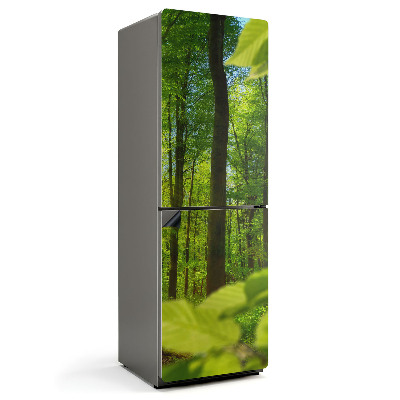 Mata magnetyczna na lodówkę Zielony gaj w promieniach słońca