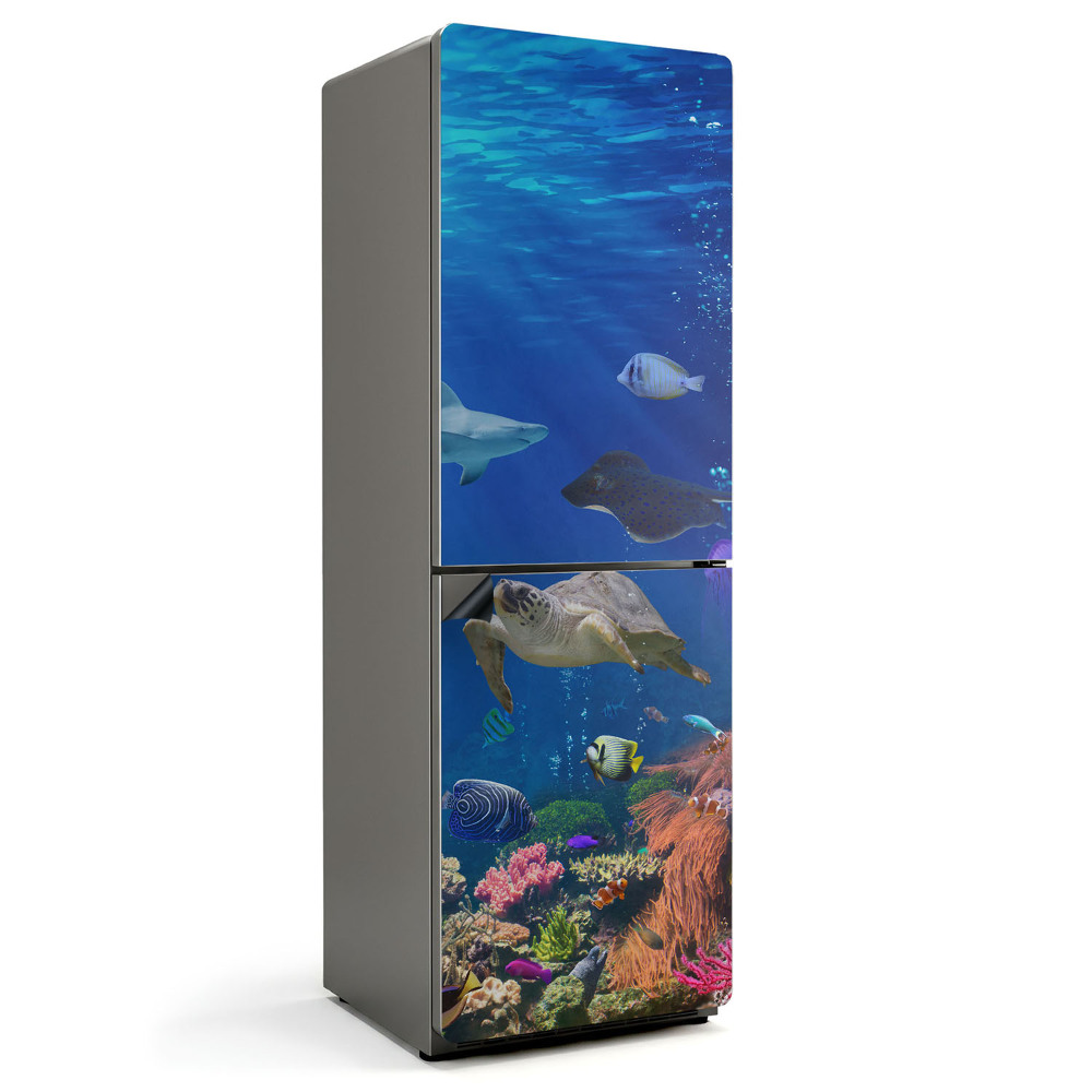 Mata magnetyczna na lodówkę Morska kraina z bogactwem życia