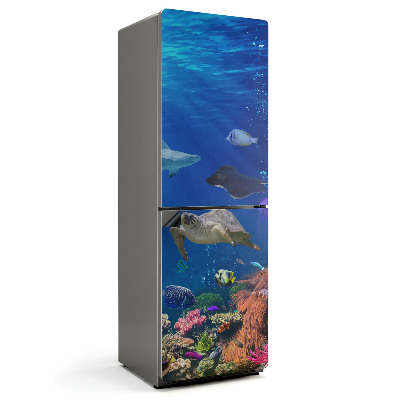 Mata magnetyczna na lodówkę Morska kraina z bogactwem życia