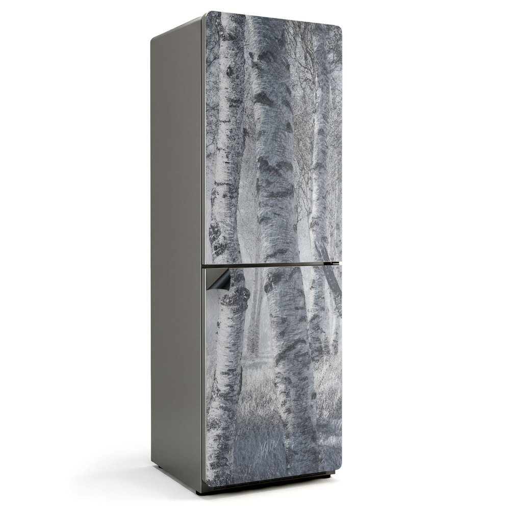 Mata magnetyczna na lodówkę Zamglona brzozowa gęstwina