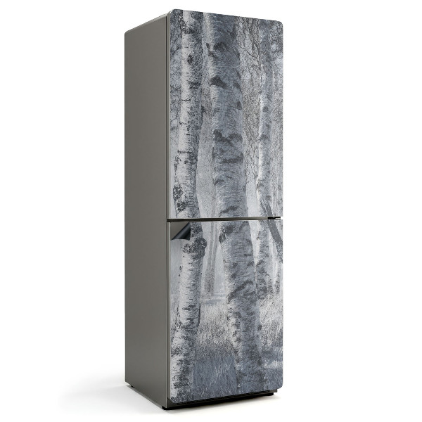 Mata magnetyczna na lodówkę Zamglona brzozowa gęstwina