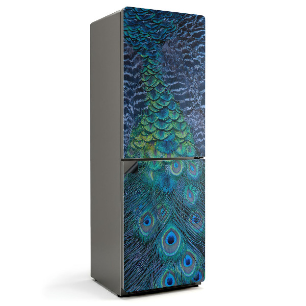 Mata magnetyczna na lodówkę Pióra pawia w zbliżeniu