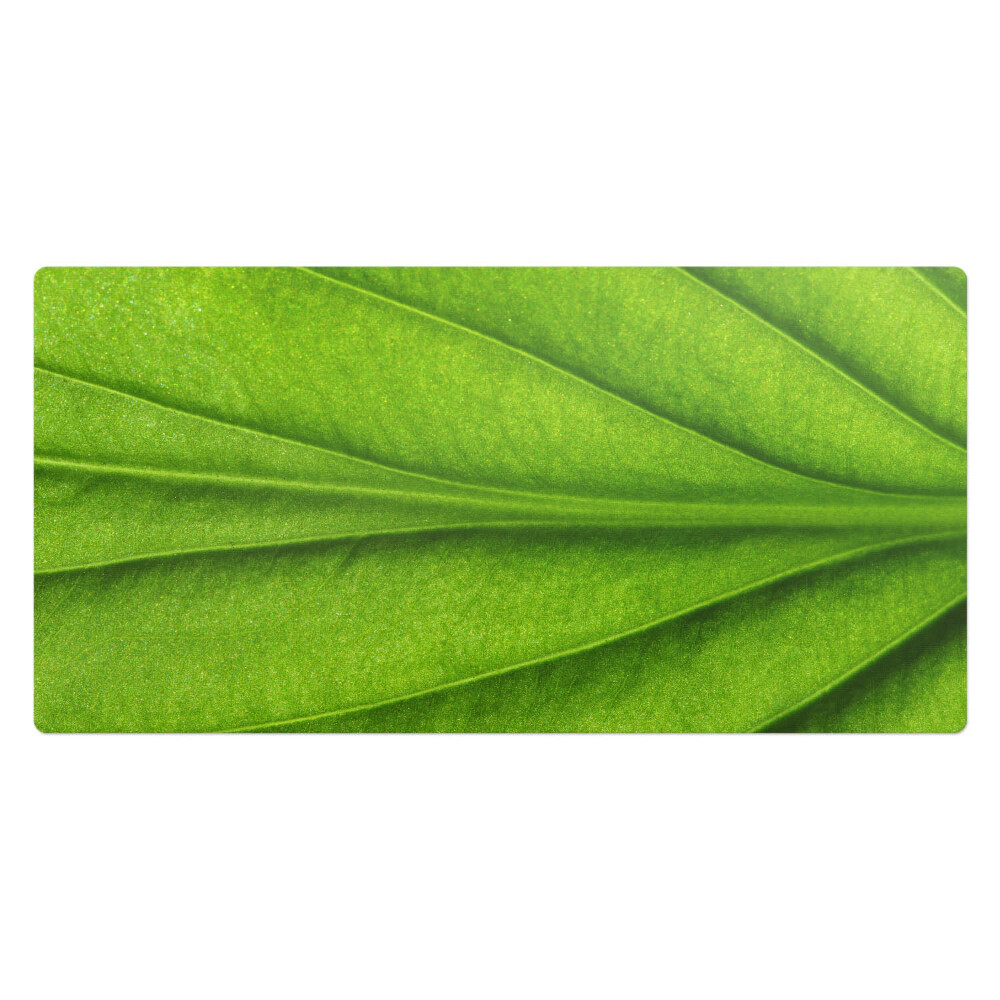 Duża podkładka na biurko Liść z bliska