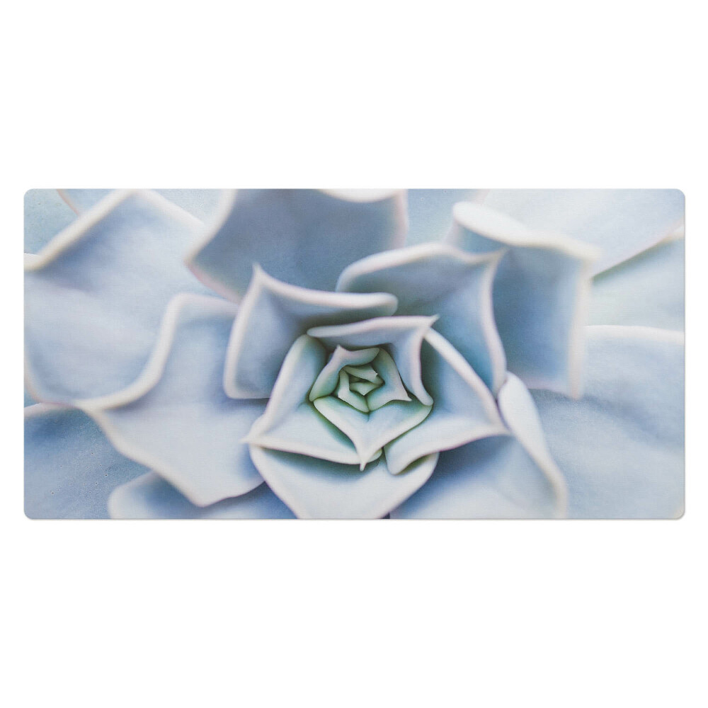 Podkładka na całe biurko Sukulenty spiralne