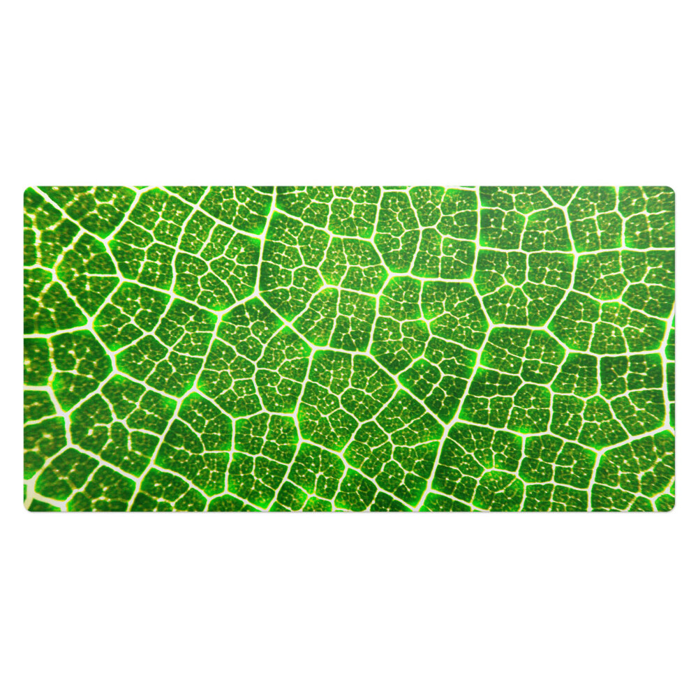 Podkładka na biurko Liść w zbliżeniu