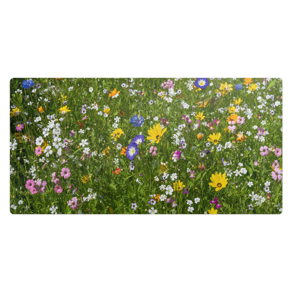 Podkład ochronny na biurko Kwiecista łąka