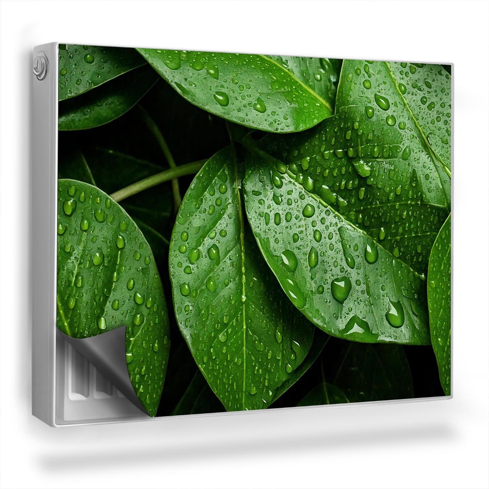 Mata magnetyczna na grzejnik Zbliżenie wielu liści, krople rosy, natura