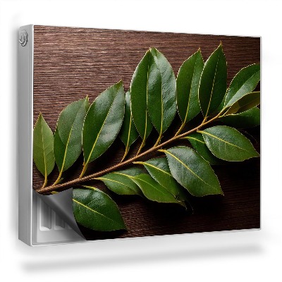 Mata magnetyczna na grzejnik Gałązka z ciemnymi liśćmi na tle drewna