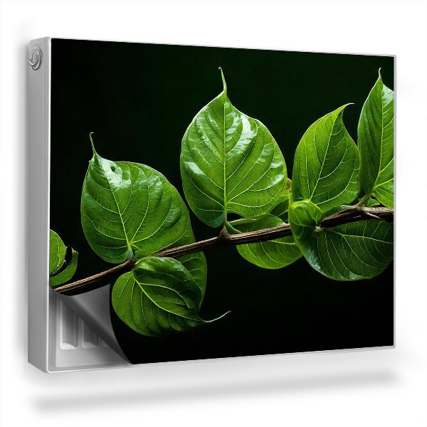 Mata magnesowa na kaloryfer Gałązka z intensywnie zielonymi liśćmi