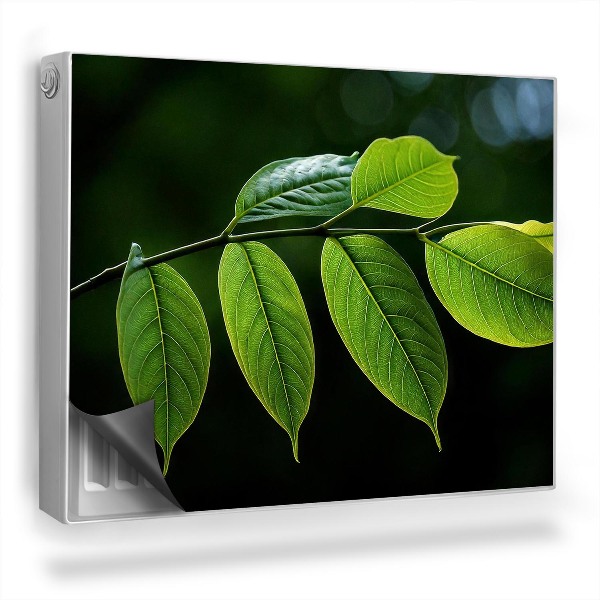 Mata magnetyczna na grzejnik Gałązka z intensywnie zielonymi liśćmi