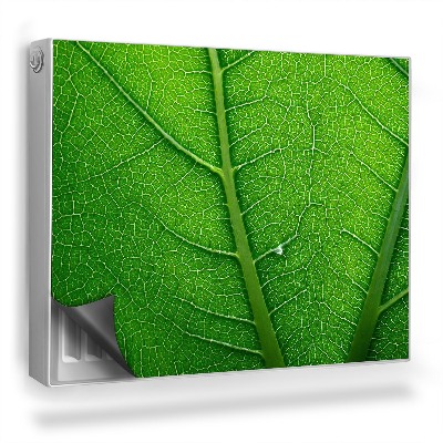 Mata magnetyczna na grzejnik Zoom na strukturę i użyłkowanie liścia