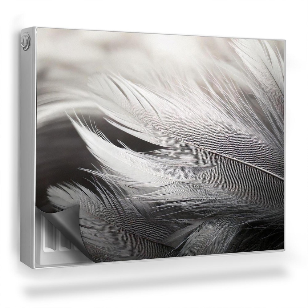 Mata magnetyczna na grzejnik Czarno-białe subtelne ptasie pióra