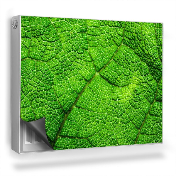 Mata magnesowa na kaloryfer Zoom na strukturę komórkową liścia