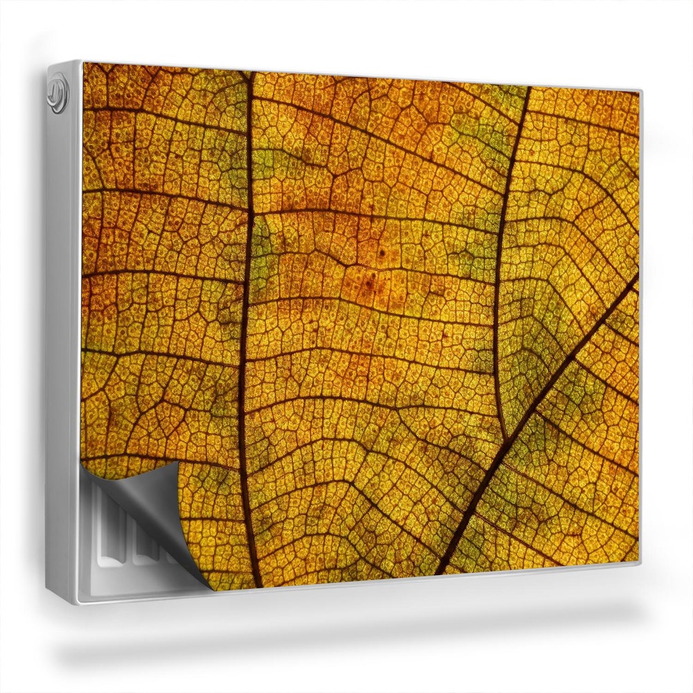 Mata magnetyczna na grzejnik Tekstura drobne żyłki jesiennego liścia