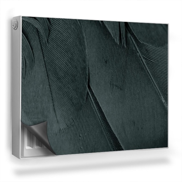 Mata magnetyczna na grzejnik Zbliżenie na strukturę piór mroczny klimat