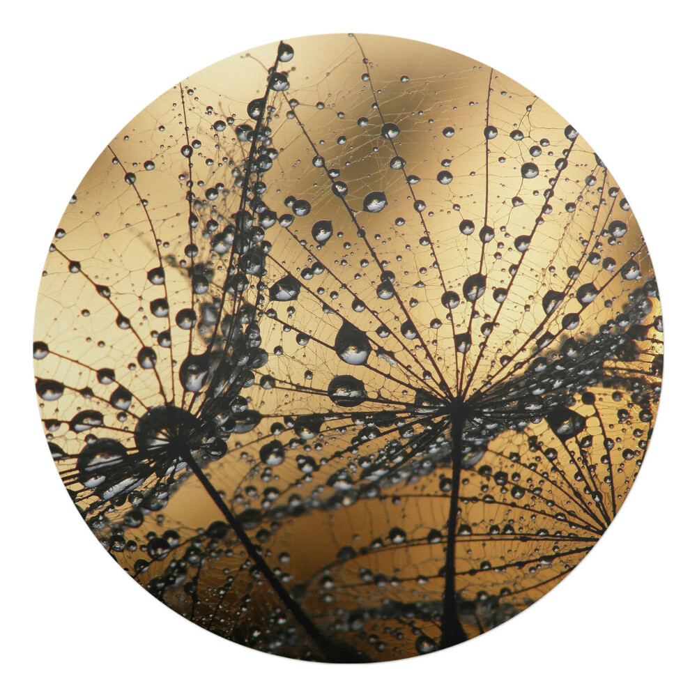 Podkładka pod krzesło okrągła Krople na pajęczynie