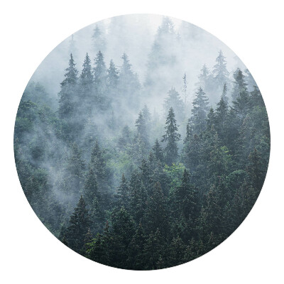Mata pod fotel biurowy okrągła Mglisty las iglasty