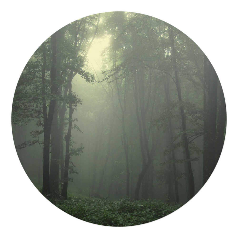 Mata na podłogę pod krzesło okrągła Mglisty las o świcie