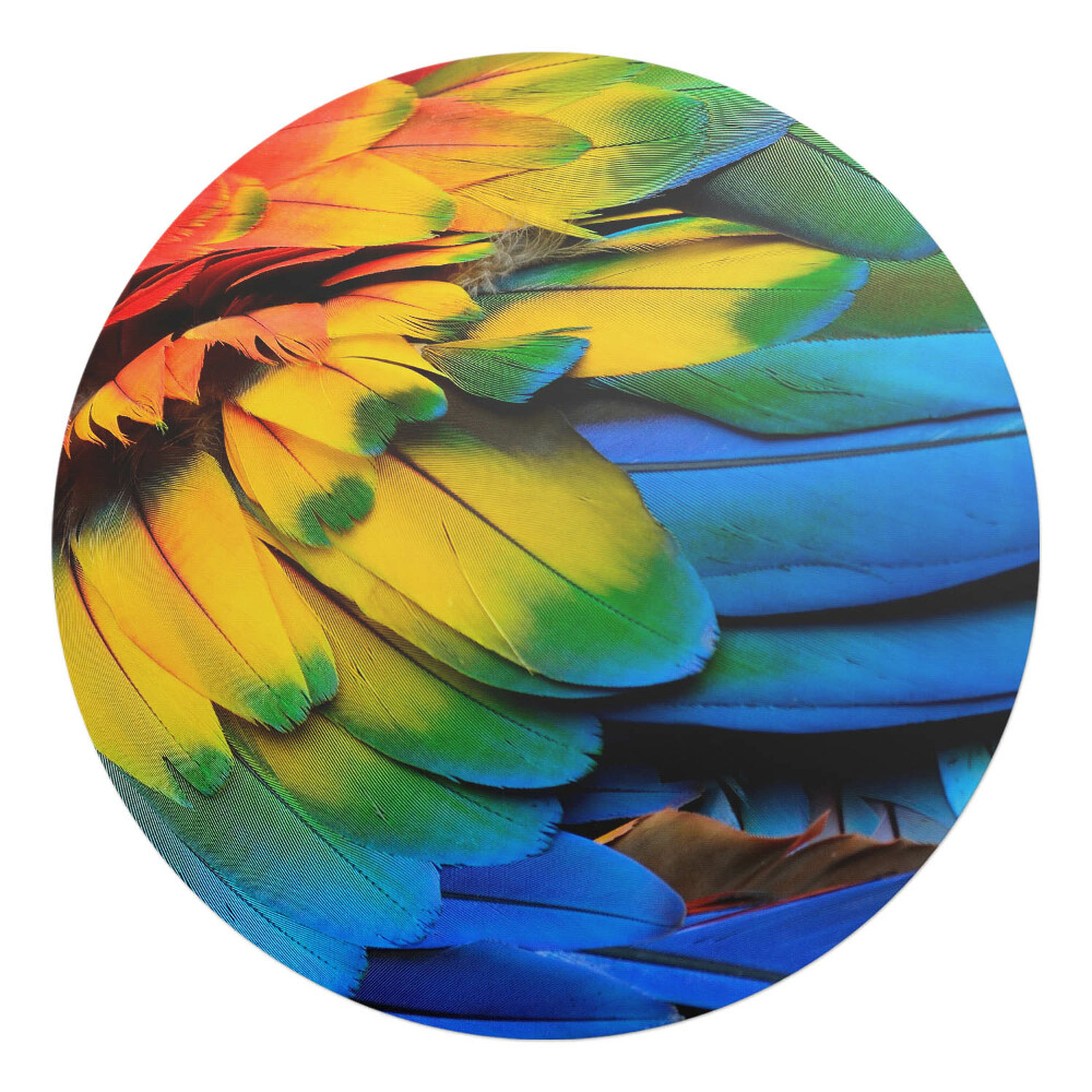Mata na podłogę pod krzesło okrągła Kolorowe pióra papugi