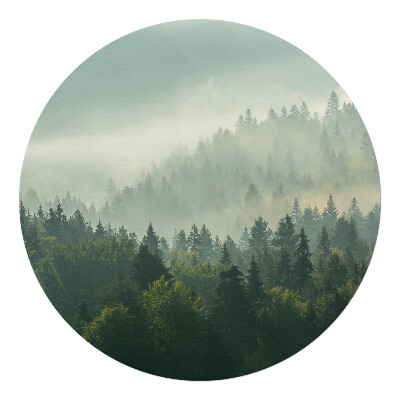 Podkładka pod krzesło obrotowe okrągła Mglisty las o świcie