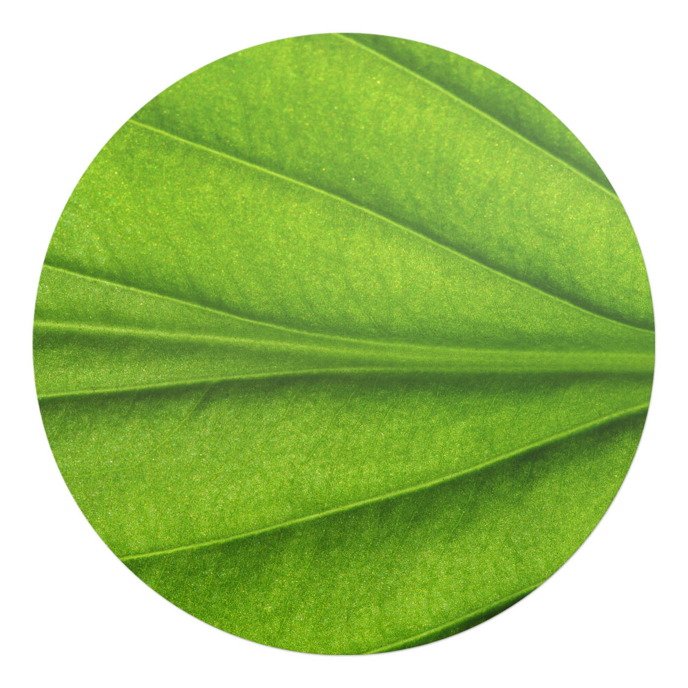 Mata pod krzesło okrągła Liść z bliska