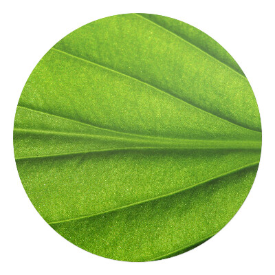 Mata pod krzesło okrągła Liść z bliska