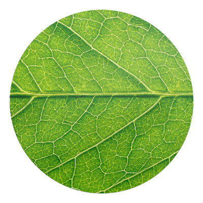 Podkładka pod krzesło okrągła Liść w zbliżeniu