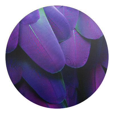 Mata na podłogę pod krzesło okrągła Pióra w odcieniach