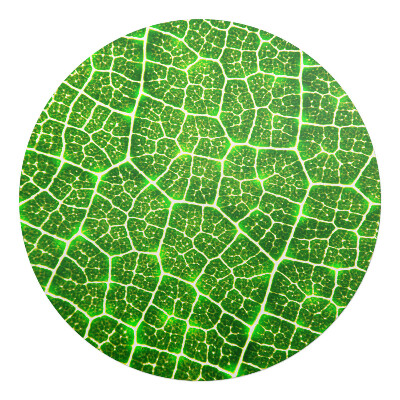 Podkładka pod krzesło obrotowe okrągła Liść w zbliżeniu