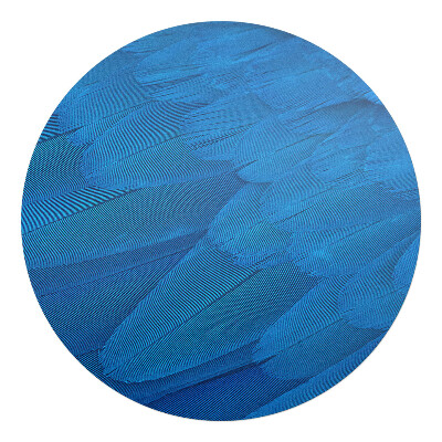 Podkładka pod krzesło okrągła Pióra ptaka z bliska