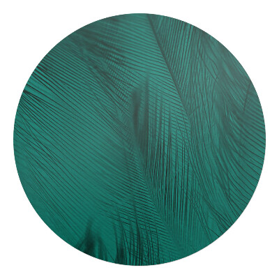 Mata na podłogę pod krzesło okrągła Pióra w odcieniach