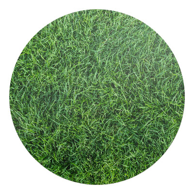 Mata pod krzesło okrągła Soczysta trawa