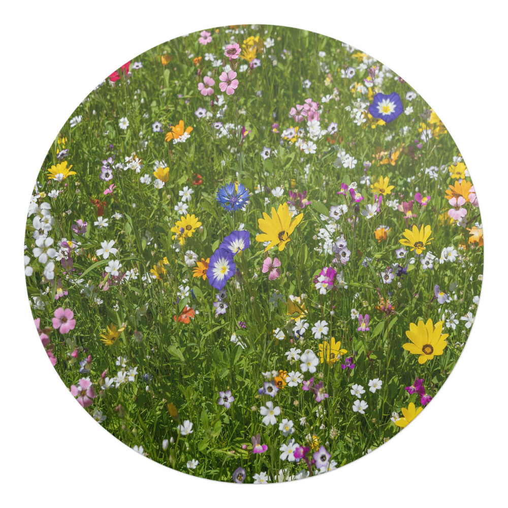 Podkładka pod krzesło okrągła Kwiecista łąka