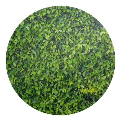 Podkładka pod krzesło obrotowe okrągła Zielona ściana liści