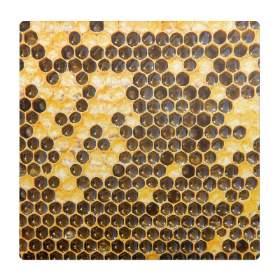 Mata na podłogę pod krzesło Plaster miodu pszczelego